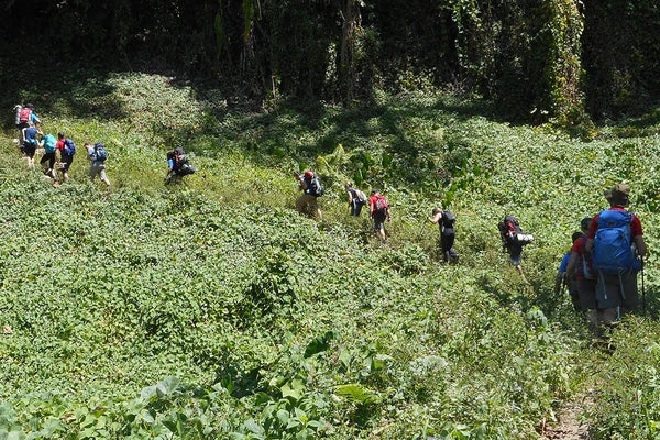 The Kokoda Track, PNG