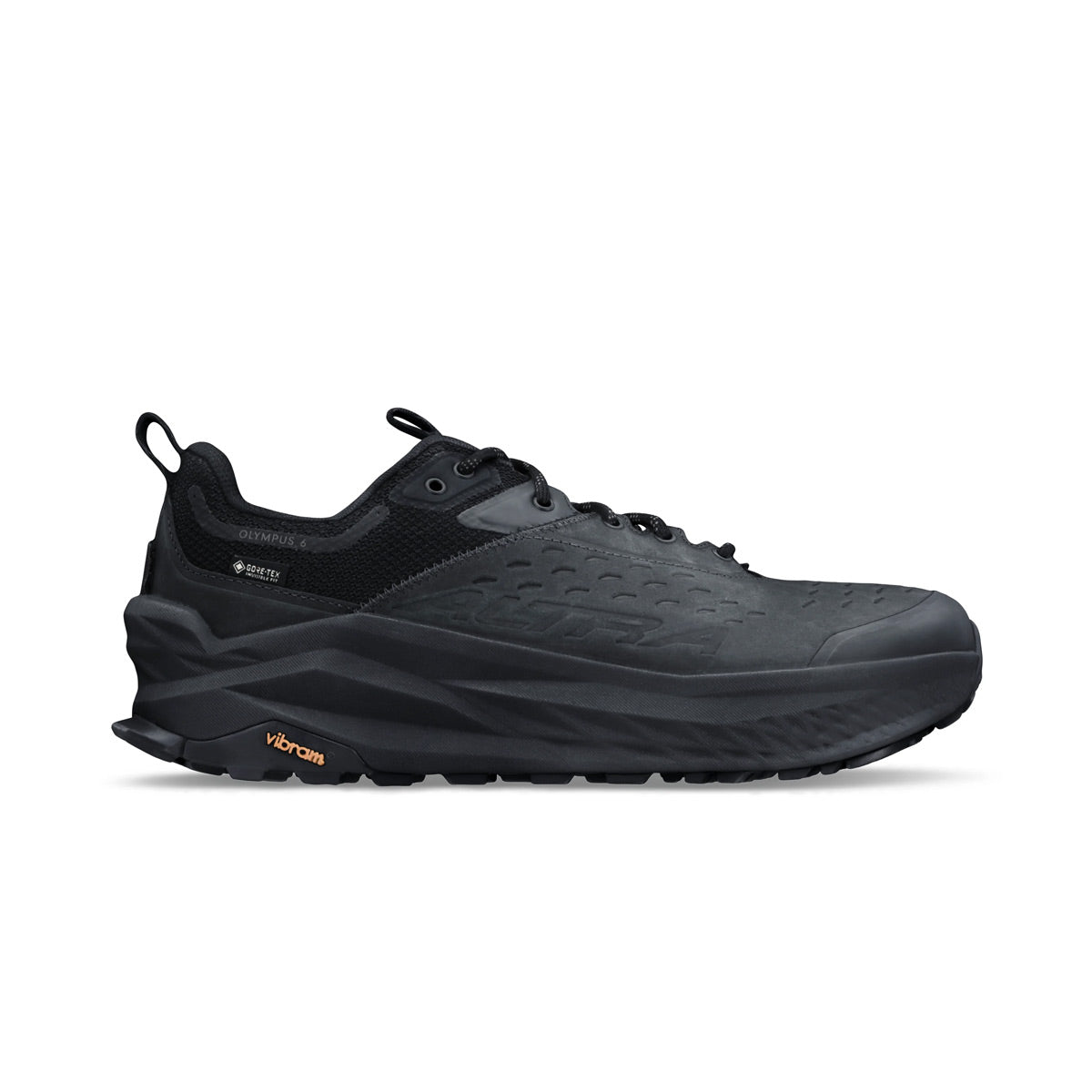Olympus 6 Hike GTX Mens