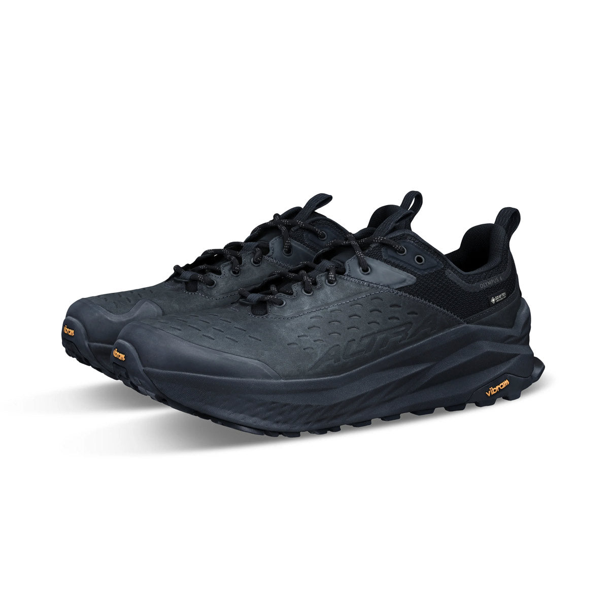 Olympus 6 Hike GTX Womens