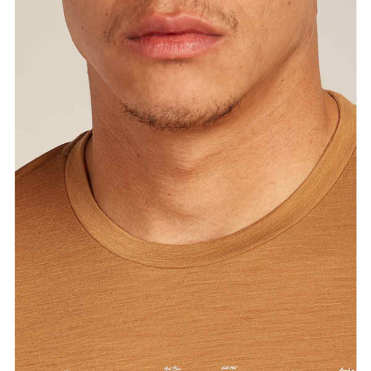 Mens Merino 150 Tech Lite SS Tee The Peaks