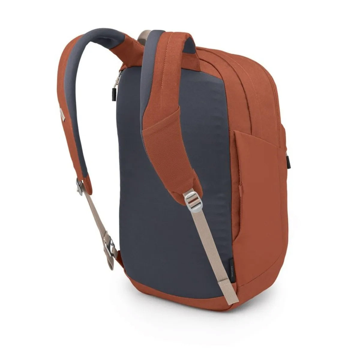 Arcane XL Day Pack 30L