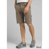 Stretch Zion Short