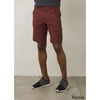 Stretch Zion Short