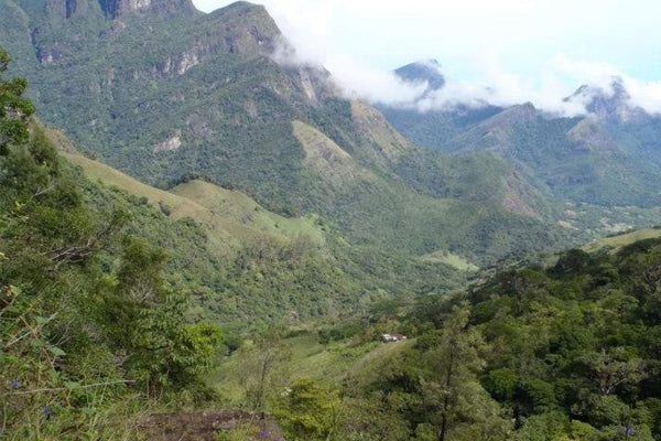 Hiking Sri Lanka