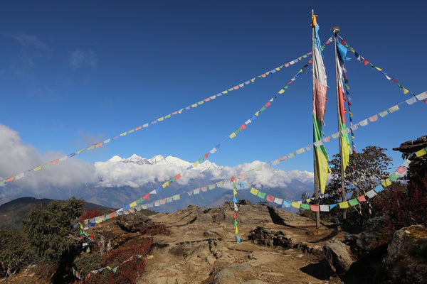 Scratching a Twitch: A Lollop in Langtang, Part I