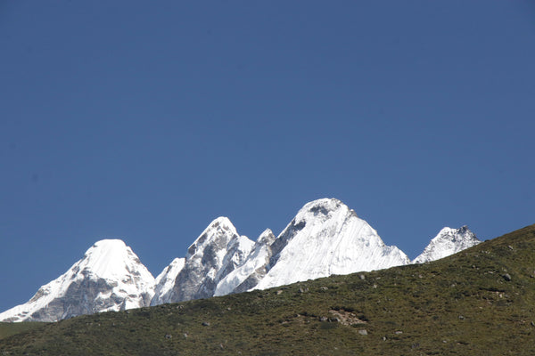 Scratching a Twitch: A Lollop in Langtang, Part II
