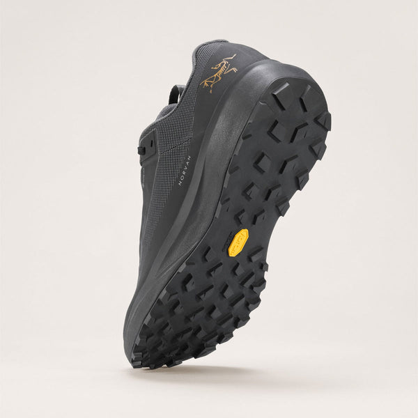 Norvan LD 4 GTX Mens