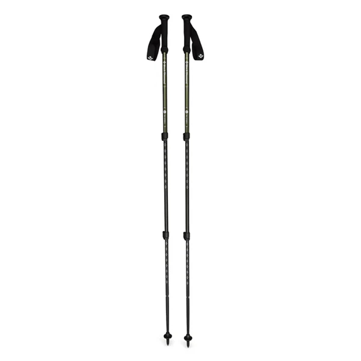 Explorer 3 Poles