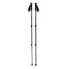 Explorer 3 Poles