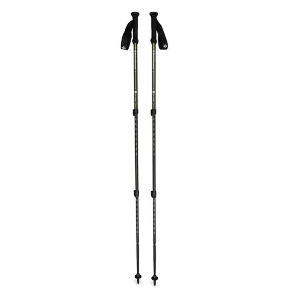 Explorer 3 Poles