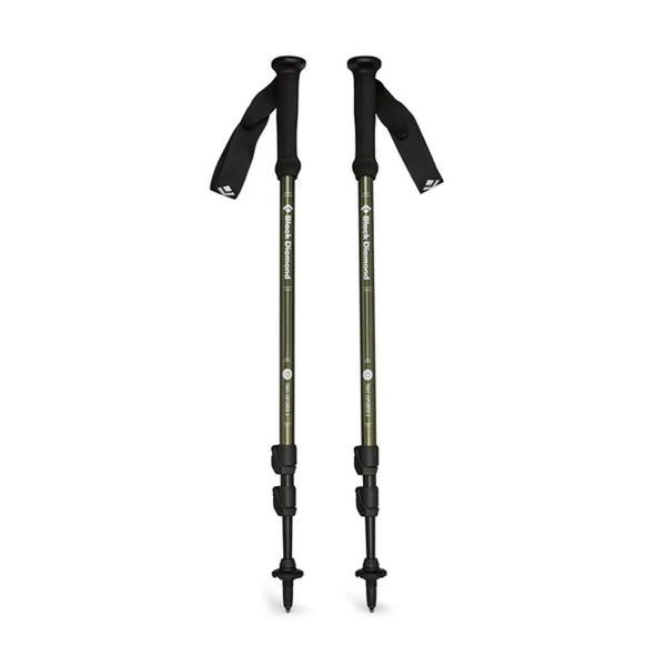 Explorer 3 Poles