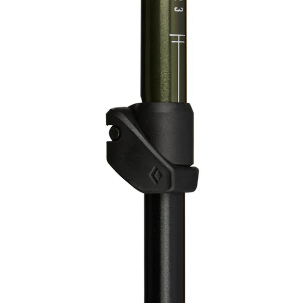 Explorer 3 Poles