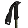 Explorer 3 Poles