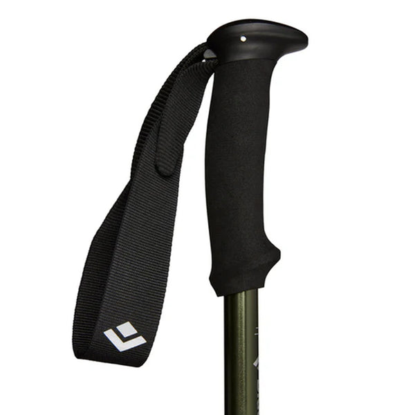 Explorer 3 Poles