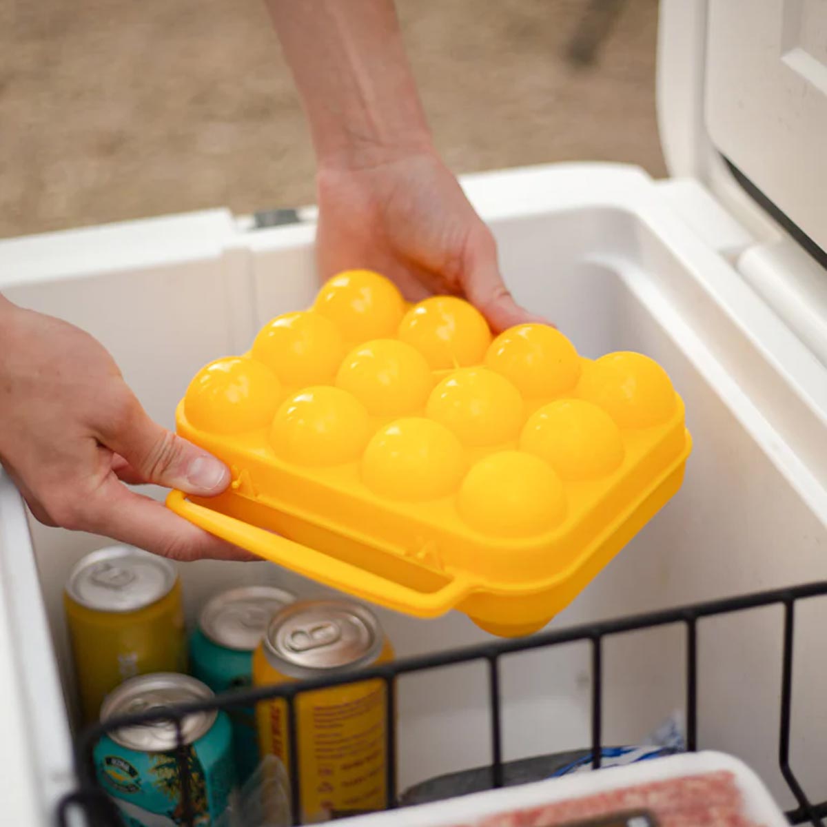 Egg Holder