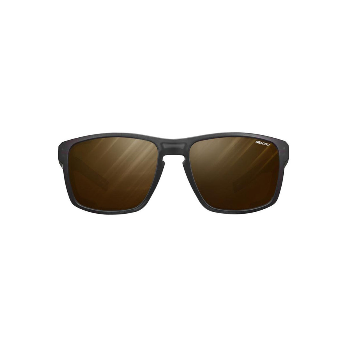 Shield M - Reactiv Polarised 2-4