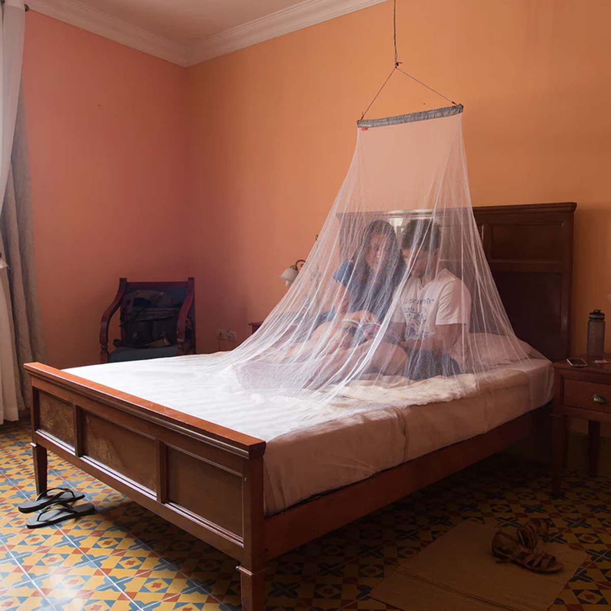 MicroNet Mosquito Net (Double)