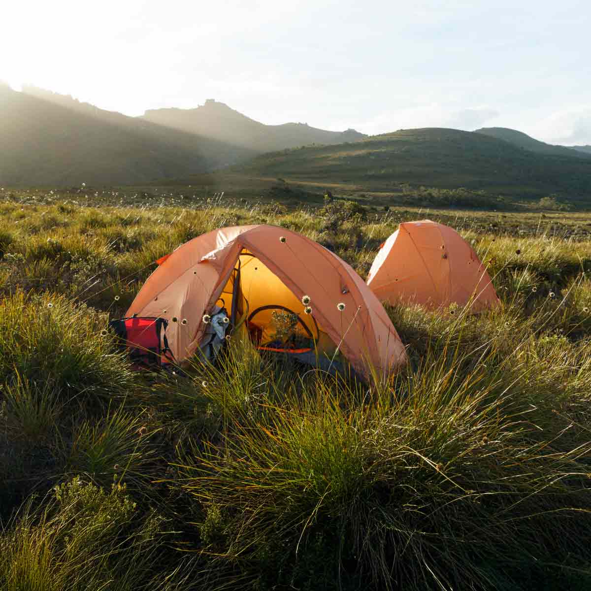 Goondie 1 - Mesh Inner