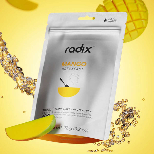 Mango Breakfast Meal
