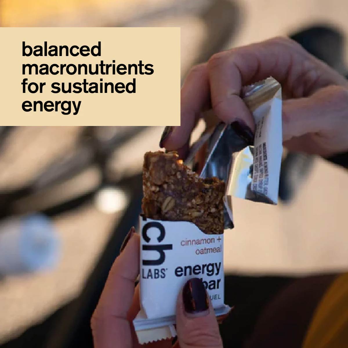 Energy Bar - Cinnamon Oatmeal