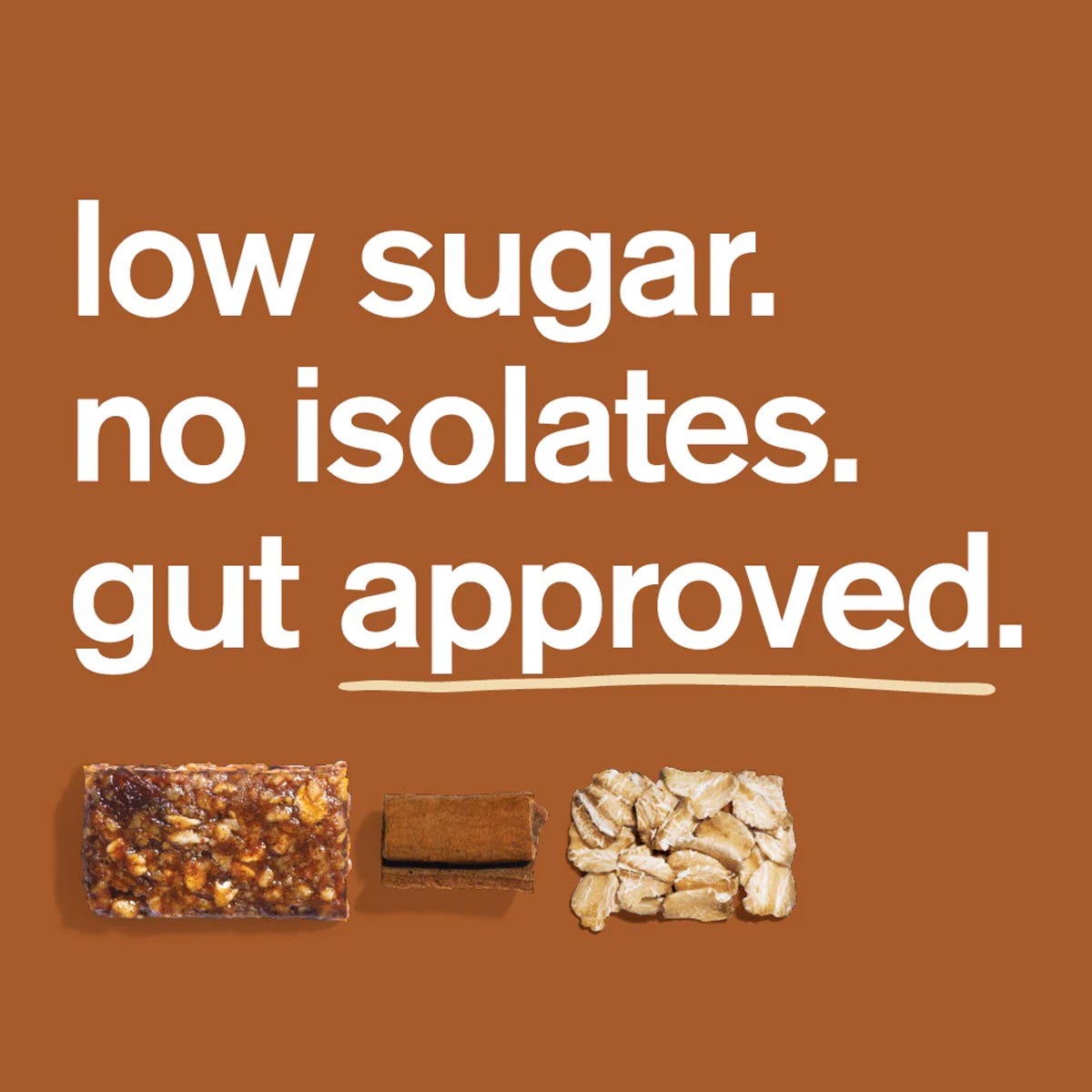 Energy Bar - Cinnamon Oatmeal
